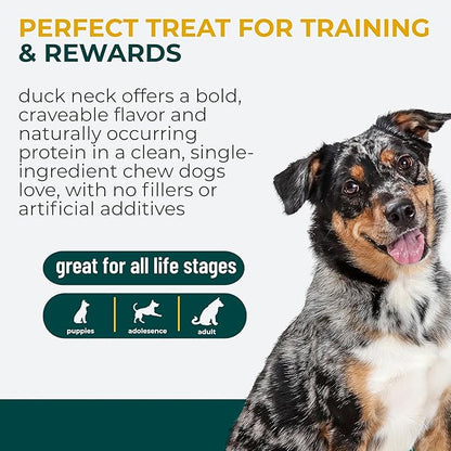 Momentum Carnivore Nutrition Freeze-Dried Duck Neck Dog Treats & Cat Treats – Single-Ingredient, High-Protein, Grain-Free, Natural Crunchy Chew – Made in USA – 3 oz Bag