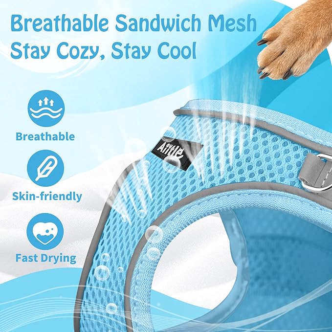 AIITLE Small Harness for Puppy with A Leash - Dog Vest Harness with Super Breathable Mesh, Reflective No-Pull Pet Harness for Outdoor Walking, Running for Small Dogs, Cats Pure Blue XXS