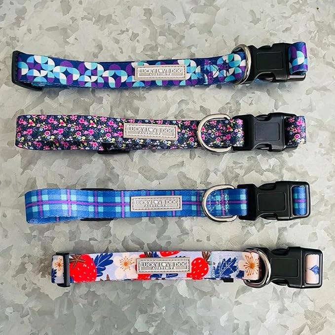 Lucky Love Dog - Adjustable Dog Collar with Easy Click Buckle for Small Dogs, Durable, & Comfortable for Male & Female Dogs, Pet Collar for Puppies & Adult Ones - Scotty, XS