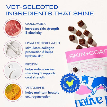 Native Pet Skin & Coat Chews - Omega 3 Fish Oil for Dogs Skin & Coat Supplement - Itch Relief, Shiny Fur & Shedding Support - Collagen, Hyaluronic Acid, Biotin, Probiotics & Salmon Oil - 120 Chews
