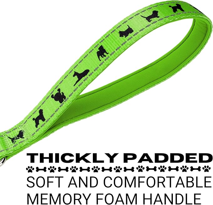EcoBark Dog Leash - Soft & Reflective Comfort Leashes with Padded Handle - Strong Durable Heavy Duty - Training and Pulling for Small, Medium or Large Dogs (Green)