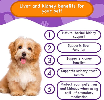 Liver & Kidney Vitamins Supplements for Dogs, SAM-E & Silymarin - Liver Function, NMN & CoQ10 - Anti-Aging, Rehmannia & Rhubarb - Natural Herbal Kidney Support, Cranberry - UT Health