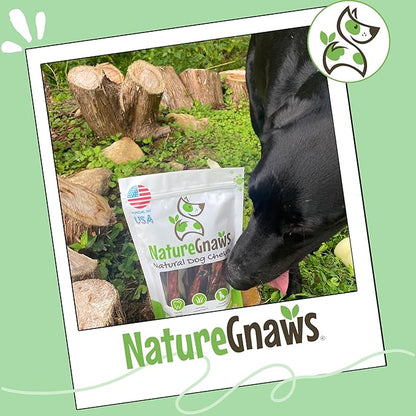 Nature Gnaws USA Steer Sticks for Dogs 5-7" (8oz) - Mixed Thickness - Long Lasting for Aggressive Chewers and Large Dogs - Natural Beef Bully Dog Chew Bones