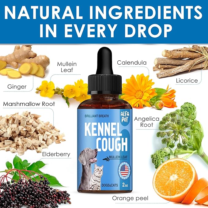 Kennel Cough Treatment for Dogs Helps with Dry, Wet, Barking Cough – Herbal Cat and Dog Cough Treatment Soothes and Calms Irritated Throat, Supports Breathing, Clears Airways – 2-oz Bottle