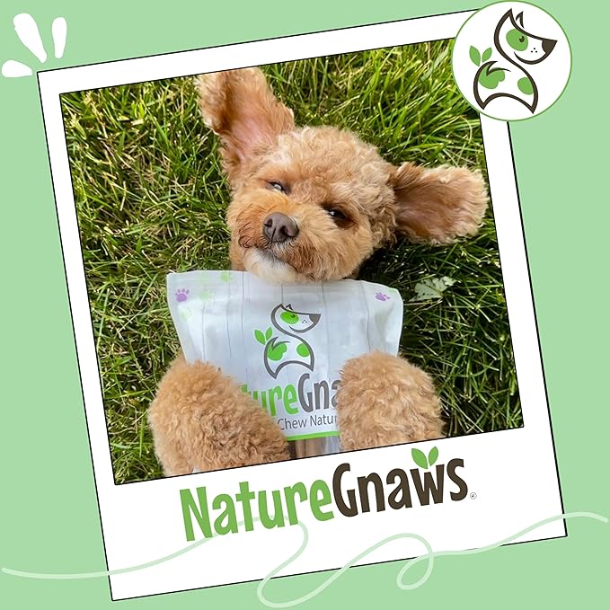 Nature Gnaws Braided Bully Twists for Dogs 5-6" (3 Count) - Long Lasting for Small and Medium Dogs - Natural Beef Dog Chew Bones