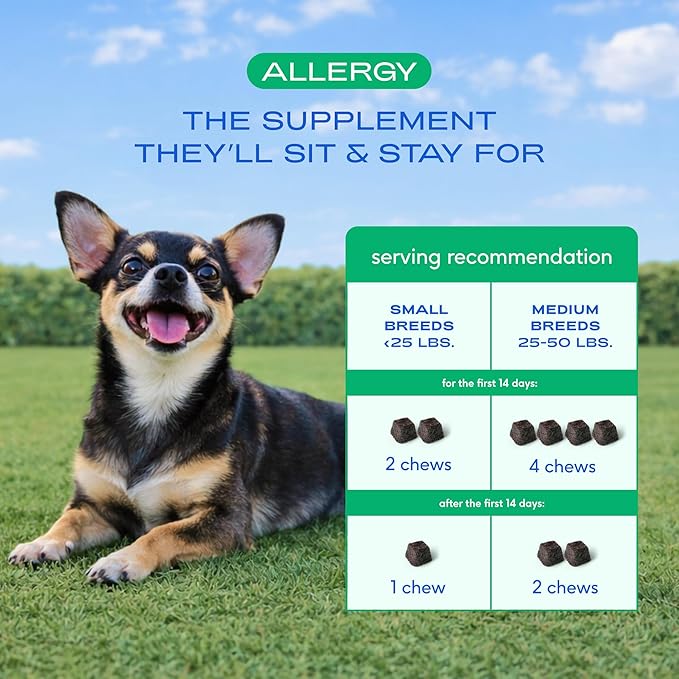 Native Pet Dog Allergy Chews - Dog Allergy Relief for Medium Breeds - Supports Seasonal Itch Relief, Healthy Immune Function & Reduces Sneezing - Colostrum, Spirulina, & Probiotics - 30 Days Supply