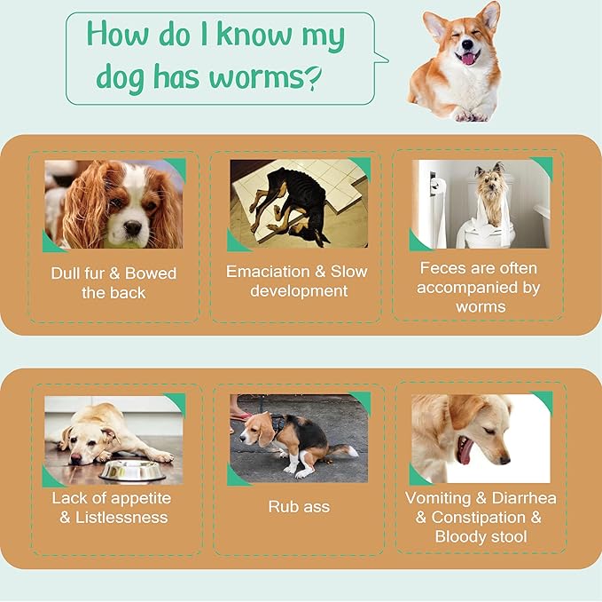 Flea and Tick Prevention for Dogs, Flea and Tick Treatment for Extra Large Dog, Natural Essential Oil, Flea & Tick Control, 89-132 Pounds, 3 Doses