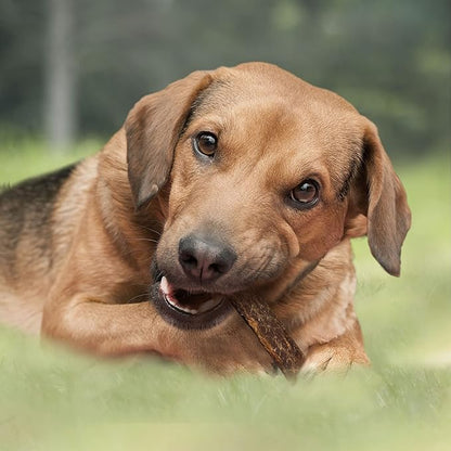 Cadet 100% Beef Strip Long Lasting Chews for Dogs, Single Ingredient Beef Esophagus Dog Treats, Natural High Protein Rawhide Alternative for Small & Large Dogs, 2.8 Ounce
