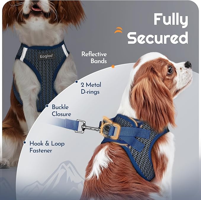 Eagloo Small Dog Harness and Leash Set, Step in Puppy Vest with Breathable Soft Mesh, Walking Reflective Pet Harness for Medium Small Dogs, Navy Blue, M