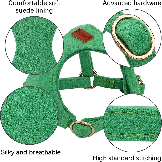 CHEDE No Pull Puppy Harness and Multifunction Dog Leash Set- 8 Colors Soft Adjustable No Choke Escape Proof Cute,Lightweight Pet Vest Harness for Small and Medium Dog (XXS, Green)