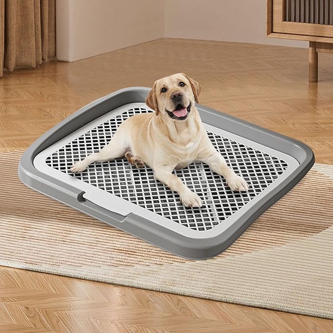 Baoblaze Dog Toilet Puppy Pad Holder Supplies Non Slip with Column Dog Pee Holder Training Pad for Bunny Home Dorm Room, Gray