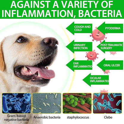 2 Pack Antibiotics for Dogs, Natural Antibiotics for Dogs, Dog Antibiotics, Dog Multivitamin for Pets, Dog Supplies Antibiotics, Natural Dog Antibiotics Supports Dog Allergy and Itch Relief
