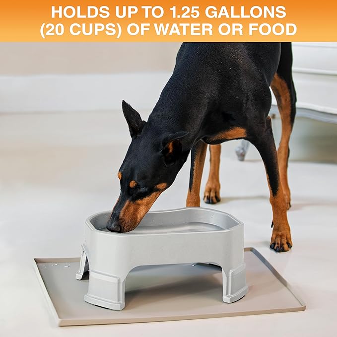 Neater Pet Brands Extra Large Water Bowl for Dogs, Elevated Outdoor Dog Water Bowl (1.25 Gallon XL Capacity), Big Trough Style Food Dish for Indoors or Outside, No Spill Large Dog Bowls, Vanilla Bean