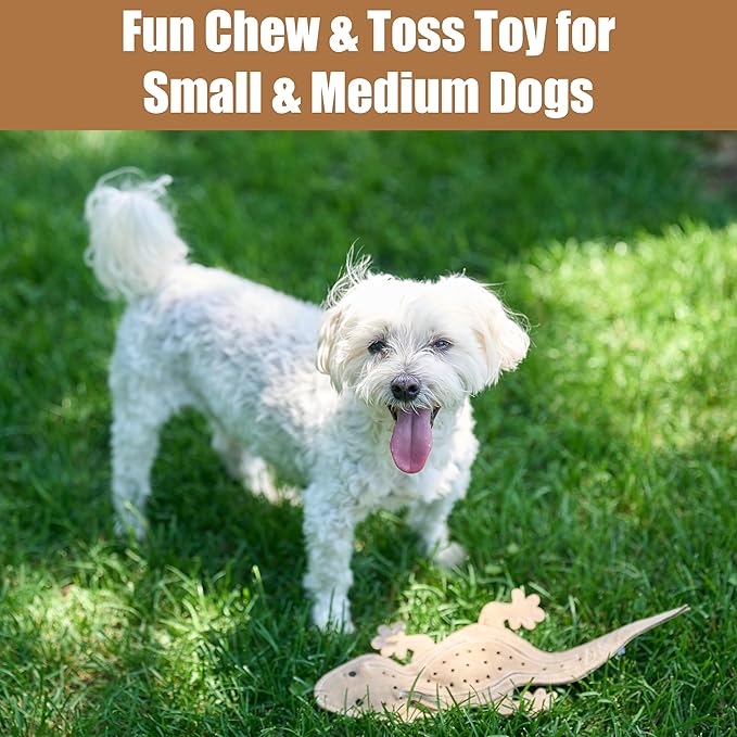 SPOT Skinneeez Leather Lizard – 15" Stuffing-Free Dog Toy with Real Leather & 2 Squeakers, Chew & Toss Toy for Small & Medium Dogs, Best for Light to Moderate Chewers