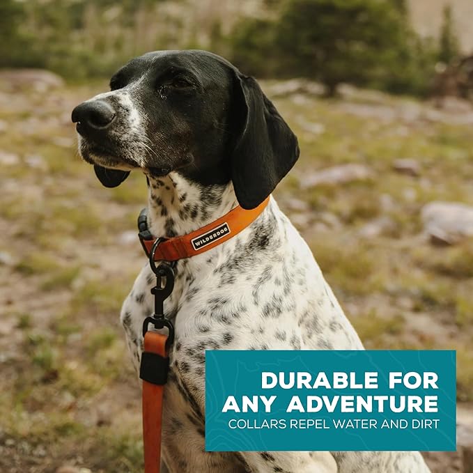 Wilderdog Waterproof Dog Collar - Repels Water & Dirt - Small 11"-15" - Terracotta