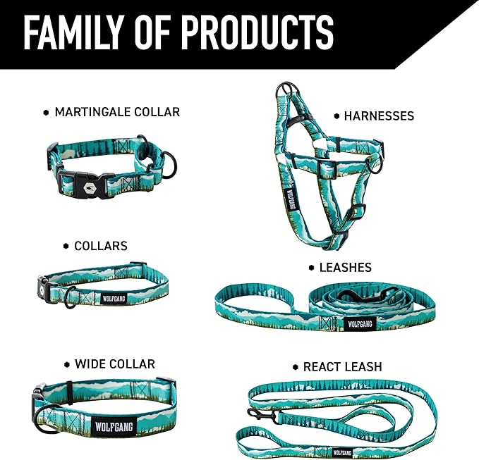 Wolfgang 8093093 6 in. Green Great Escape Polyester Dog Leash Medium & Large