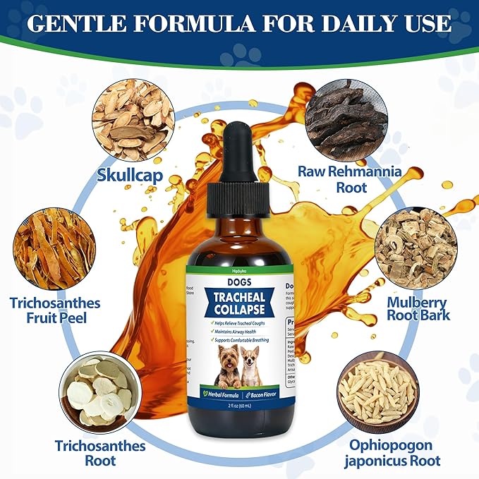 Dog Tracheal Collapse, Collapsed Trachea Treatment for Dogs, Herbal Liquid Drops Relief Cough & Helps Promote Easier Breathing, Natural Respiratory Support Airway Comfort, Bacon Flavor - 2 FL OZ