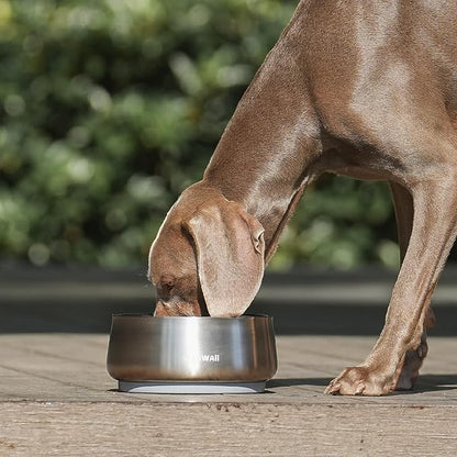 Pawaii Dog Bowl, 34 oz Double-Wall Stainless Steel Food and Water Bowl, Non-Slip Rubber Base, Dishwasher Safe, ID Tag Included, (1 Pack)