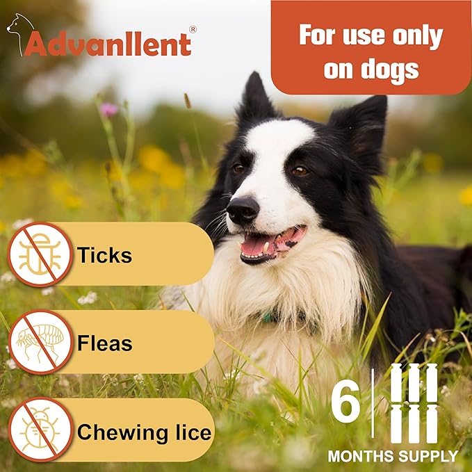 Flea and Tick Prevention for Dogs, Flea and Tick Treatment for Large Dog, Flea & Tick Control, 45-88 Pounds, 6 Doses