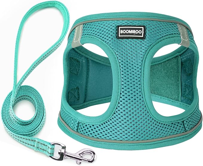 Dog Harness with Leash Set, No Pull Adjustable Reflective Step-in Puppy Pet Vest Harnesses for Small Medium Large Dogs and Cats,Forest Green S