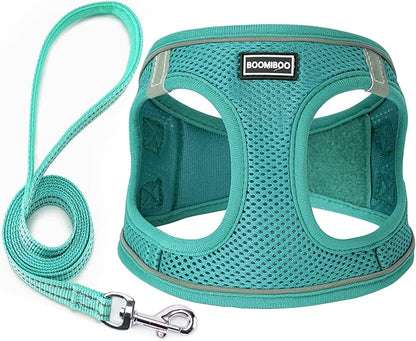 Dog Harness with Leash Set, No Pull Adjustable Reflective Step-in Puppy Pet Vest Harnesses for Small Medium Large Dogs and Cats,Forest Green XS