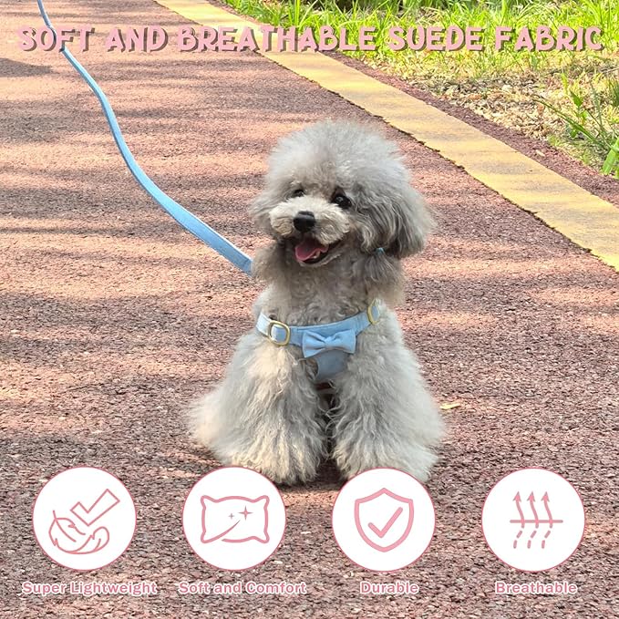 Guiding Star Dog Harness Small Sized Dog with Multifunction Leash, No Pull Puppy Dog Harness and Leash Set Training, Cute Soft Adjustable Dog Walking Harness Pet Vest Harness (Sky Blue-XS)