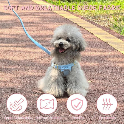 Guiding Star Dog Harness Small Sized Dog with Multifunction Leash, No Pull Puppy Dog Harness and Leash Set Training, Cute Soft Adjustable Dog Walking Harness Pet Vest Harness (Sky Blue-XS)