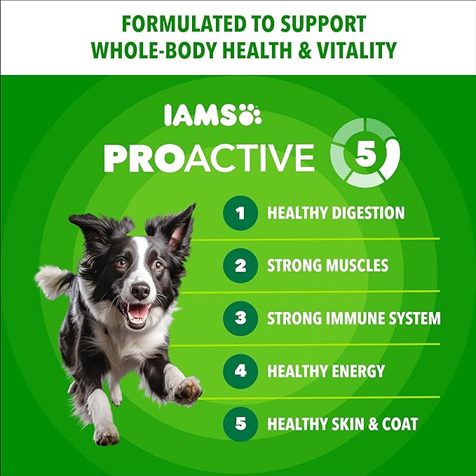 IAMS Proactive Health Adult Minichunks Premium Dry Dog Food, Adult Dog Food Dry Recipe, 3.3 lb.