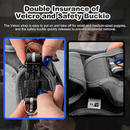 Dog Harness Medium Sized Dogs, Puppy Harness and Leash Set for Training, Running, Walking, Suitable for Small and Medium Dog Vest, Black, L