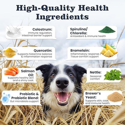Dog Allergy Chews 200 Treats, Allergy & Itch Skin Relief Omega 3 Fish Oil Probiotics for Seasonal All Issues Allergies Skin & Hair, Gut, Immune Support-All Ages & Sizes Dogs Made in USA Chicken Flavor