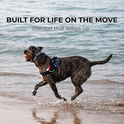 ShawnCo Essential Dog Harness, No-Pull Pet Vest with 3 Leash Clips, No Choke, Reflective, Adjustable and Padded, for Easy Walking and Training for Small, Medium and Large Dogs (Olive Green, L)