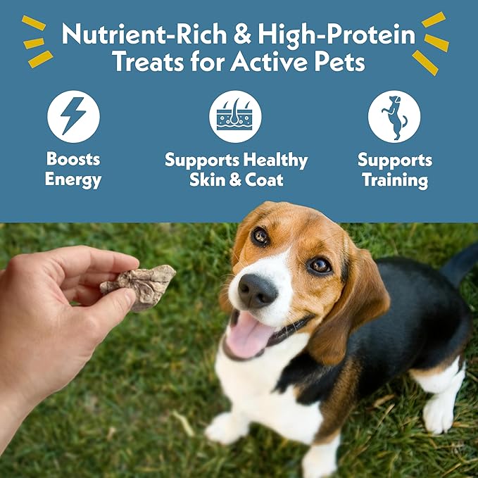 Fresh Is Best Duck Liver Freeze Dried Dog Treats – Raw Freeze Dried Cat Treats in Resealable Zipper Bag – High-Protein for Dogs & Cats – Made in the USA