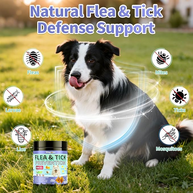 Flea and Tick Prevention for Dogs Chewables – 500 Crunchy & Creamy Tasty Chews, Natural Dog Flea and Tick Treatment Chewable, Oral Flea Chews Supplement for Dogs Puppies, All Breeds & Ages, Chicken
