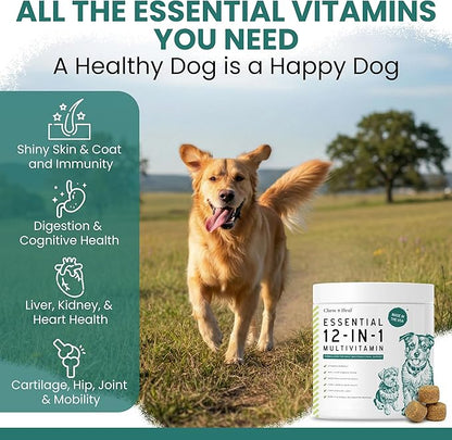 12-in-1 Dog Multivitamin Soft Chews, 120 Count - Vitamins & Supplements, Glucosamine Chondroitin, Probiotics, Omega 3 - Hip & Joint, Skin & Coat, Immune Support for Puppy & Senior Dogs - Chew + Heal