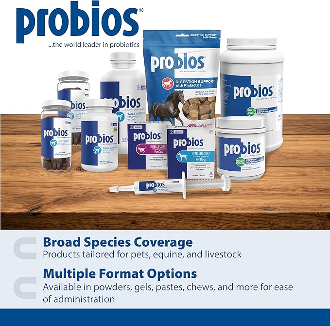 Probios Digestive Support Probiotic for All Species, Probiotics for Gut Health, Dispersible Powder, 240 gm (Pack of 2)