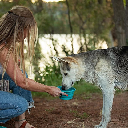 Messy Mutts Silicone Collapsible Bowl | Pet Travel Necessity | Portable Water or Food Dish | Pop Up Watering Bowl | Camping, Hiking, Walking Accessory | Large, 3 Cups | Green