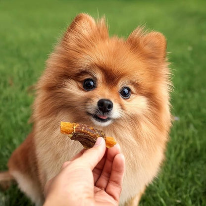 Pet 'n Shape Sweet Potato Chews Jerky Dog Treats - 16 Ounce