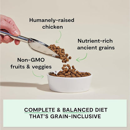 Open Farm, Ancient Grains Dry Dog Food, Protein-Rich & Nutrient Dense, 90% Animal Protein Mixed with Non-GMO Fruits, Veggies and Superfoods, Harvest Chicken Recipe, 11lb Bag