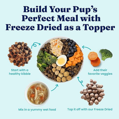 Solid Gold Lamb Dog Food Dry for Adult & Senior Dogs– High Protein Healthy Dog Kibble for Medium & Large Breeds – Whole Grain, Omega 3 & Digestive Probiotics for Gut Health & Everyday Nutrition – 4 LB