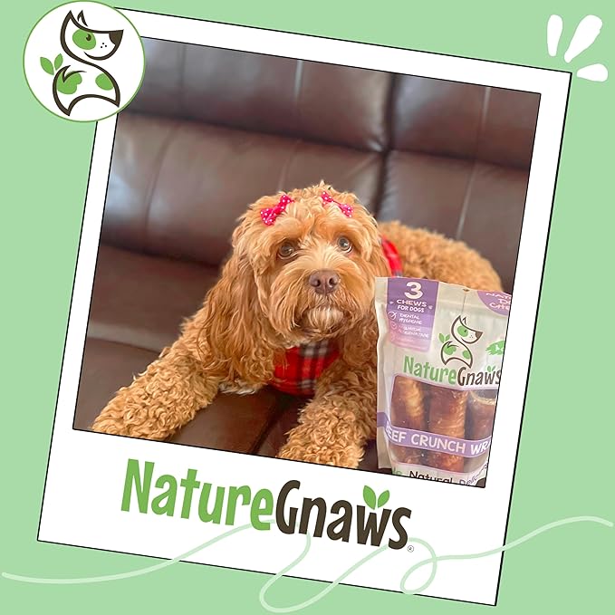 Nature Gnaws Beef Trachea Crunch Wraps for Dogs (3 Count) - Long Lasting Natural Beef Jerky Dog Chew Bones - Rawhide Free