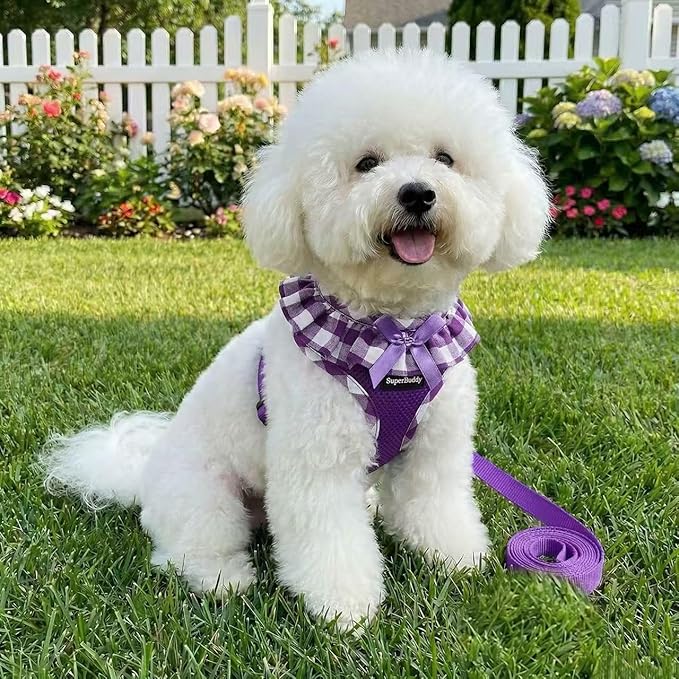 SuperBuddy Upgraded Soft Mesh Dog Harness, Super Breathable Lightweight Pet Harnesses for Puppy Dogs Outdoor Walking, Purple Dog Harness and Dog Leash Set Packing -Medium