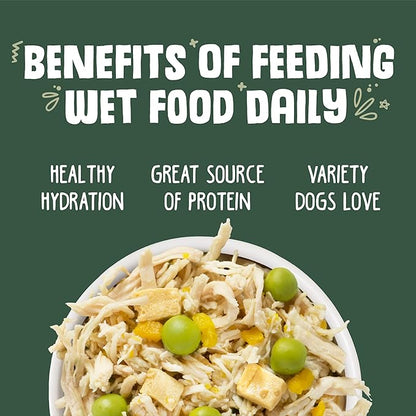 Weruva Classic Dog Food, Green Eggs & Chicken with Chicken Breast & Pumpkin in Gravy, 14oz Can (Pack of 12)