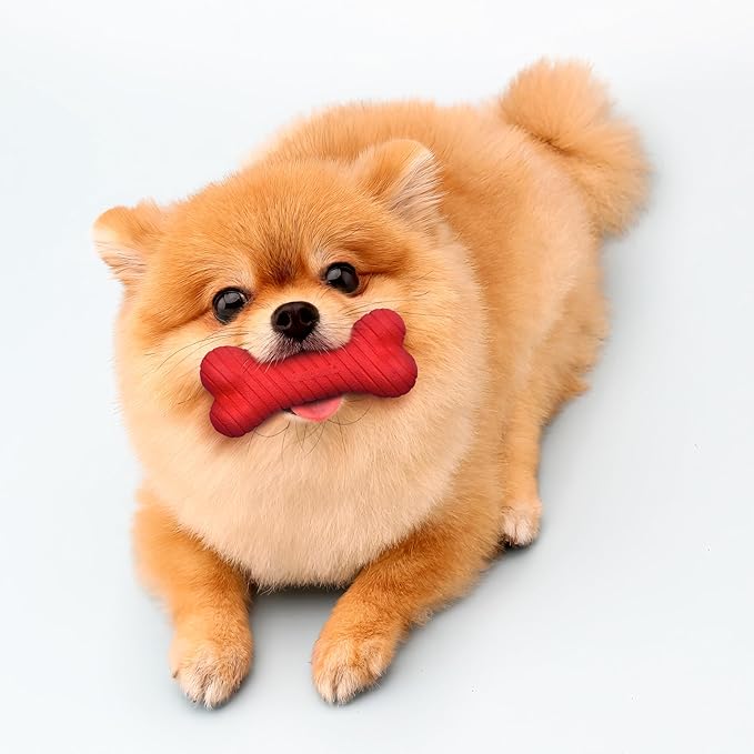Playology Dog Toys | Dual Layer Bone Durable Chew Toy Bone for Dogs (Value 3-Pack) | Small Beef Scented Toy - Easy to Clean and Made from Non Toxic Materials