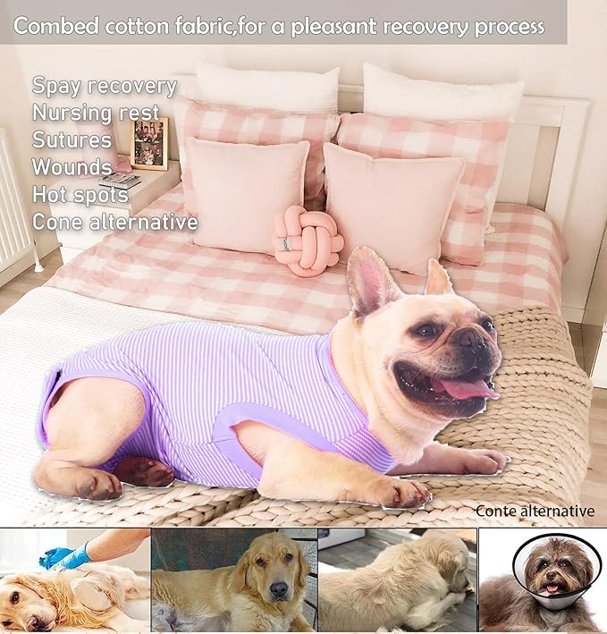 Dog Recovery Suit Purple Female Spay Surgical Medium Shirt, Male Surgery Recovery Suit,Purple-White Striped M