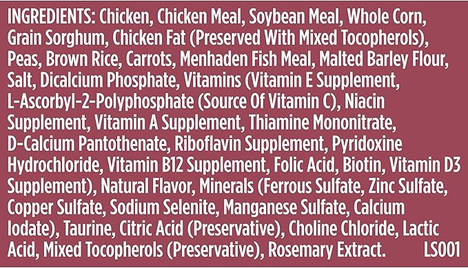 Nutrish Rachael Ray Dry Dog Food Small Breed Real Chicken & Veggies Recipe, 5 lb. Bag