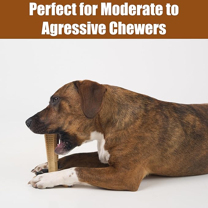 SPOT Bam-Bones Plus T-Bone Dog Chew Toy, Bamboo Fiber & Nylon, Chicken Flavor, Durable Non-Splintering Chew for Moderate to Aggressive Chewers, Dogs 30-60 lbs, 6 Inch