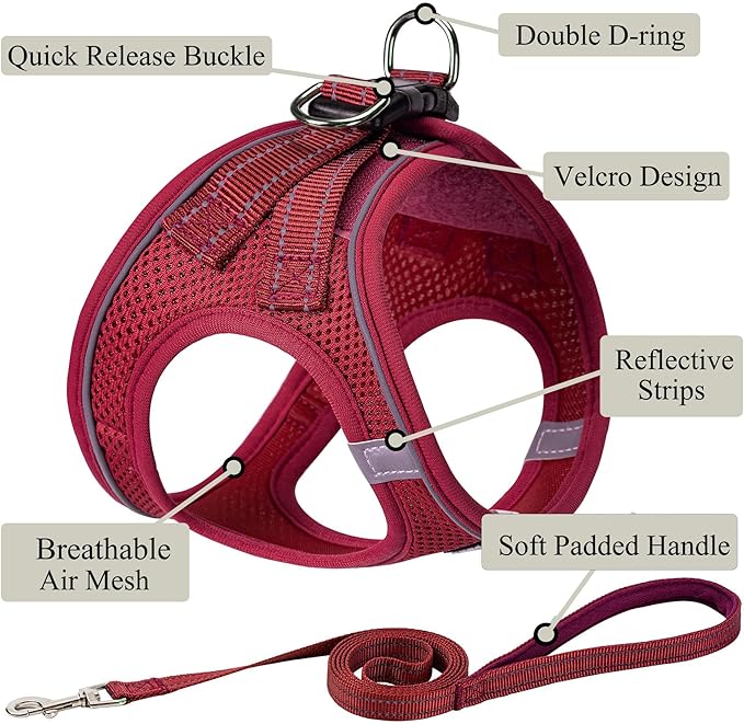 Dog Harness with Leash Set, No Pull Adjustable Reflective Step-in Puppy Pet Vest Harnesses for Small Medium Large Dogs and Cats,Red XS