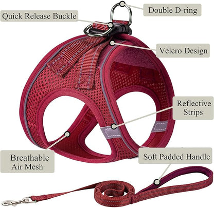 Dog Harness with Leash Set, No Pull Adjustable Reflective Step-in Puppy Pet Vest Harnesses for Small Medium Large Dogs and Cats,Red XS