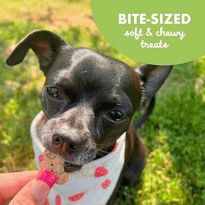 Buddy Biscuits Softies 6 oz. Bag, Soft & Chewy, Natural Roasted Chicken Flavor Dog Treats, Oven Baked in The USA