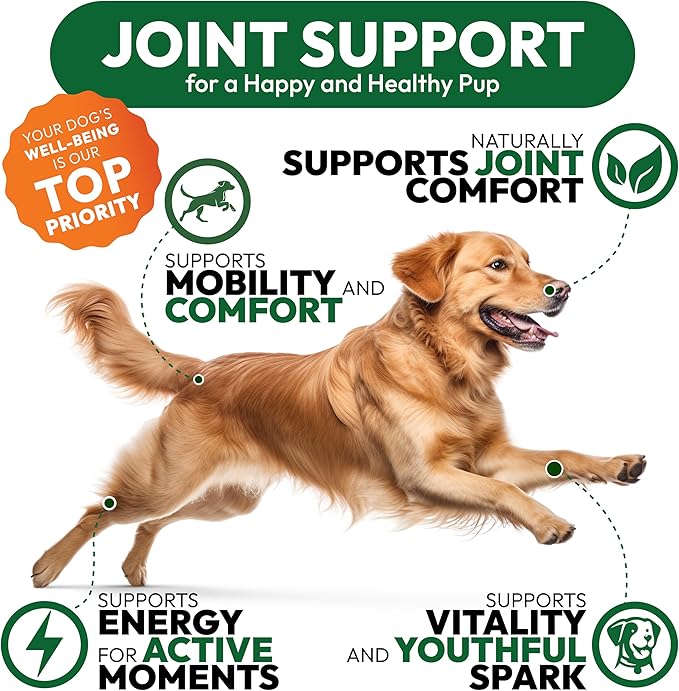 (2 Pack) Glucosamine for Dogs - 340 Mobility Chews - Advanced Hip and Joint Supplement for Dogs - Glucosamine Chondroitin - MSM - Joint Pain Relief - Made in USA